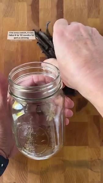 The fastest way to make home vanilla extract, ready in 16-18 hours, involves the sous vide circulator. Learn more: https://cooks.io/3SEXIZb | Cook's Illustrated