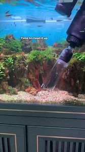 2.2M views · 15K reactions | Don't forget to clean your fish tank's bottom sand to keep your fish tank healthy! #sandwashing #NanoTankFilter #fishtankcleaning #fishtankdecor #AQQA #aquarium #cleaning #fishtank #fishtankcleaning #fishtank #fishtankdecor #asmr #satisfying | AQQA Aquarium | Facebook