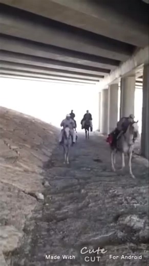 Traditional Omani Sword Dance Performance
