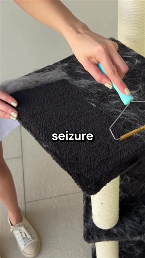 #capcut #capcutpioneer #capcutforus | CapCut