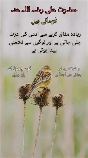 Hazrat Ali beautiful hadees