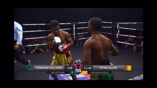 Boxer suffers seizure in terrifying scenes