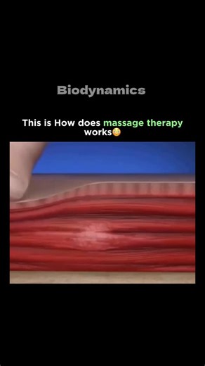 Medical | Science | Facts on Instagram: "Massage therapy works by applying pressure to the body’s soft tissues to relax muscles, reduce pain, improve circulation, and relieve stress. It promotes healing by increasing blood flow, releasing tension, and stimulating the nervous system to reduce pain and anxiety. It can also improve flexibility and overall muscle function. . . . #trendingreels #didyouknow #intresting #medicalfacts #biologyfacts #humanbody #science #disease #disorder #doctor #explore