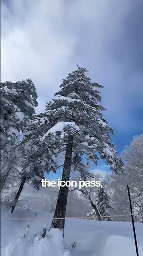 A ski resort in Japan that gets 6m of powder snow