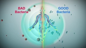 The Anatomy of Biofilm