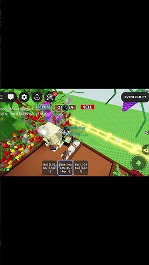 Roblox hatching eggs #roblox #pets #script #scripting