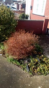 A job we're doing in tallaght today the 24th of March we're painting and sealing Indian sandstone where building raised flower beds with sunstone with new topsoil rebuilding the sidewall up at the front where tighten up the garden flora beds with golden shingle pebbles power washing the front and sides we will put up the job finish on Monday the 26th of March | JP Paving and Landscaping | Facebook