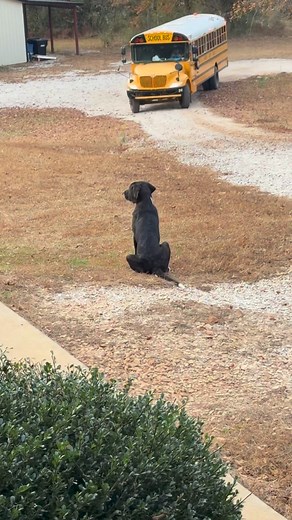 9.5K views · 232 reactions | EVERY TIME | Colt Montgomery | Facebook