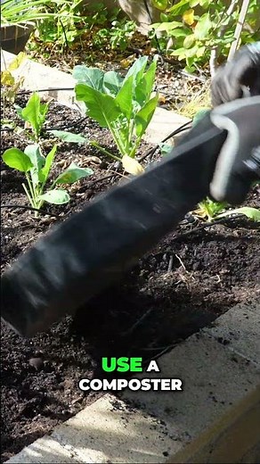 Compost 101: The Fastest Way to Boost Soil Quality #shorts