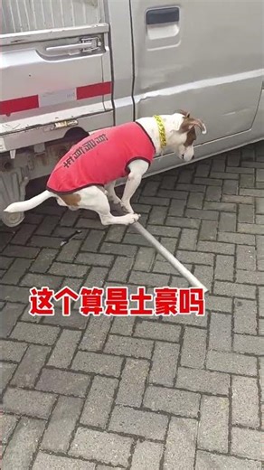 Do the Wealthy Prefer Solitude? Discover the Secret World of Single Rich People RichPeople