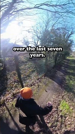 The joy of walking the London Loop