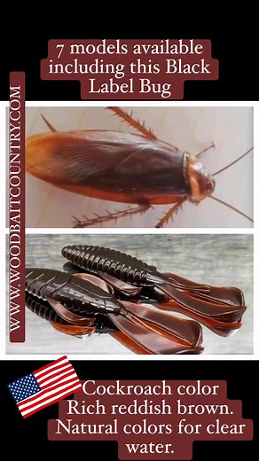 https://www.woodbaitcountry.com/product/black-label-custom-soft-plastics-black-label-bug-4-cockroach-8ct/ #woodbaitcountry #blacklabelbaits #blacklabelsoftplastics #blacklabelbug | Black Label Tackle
