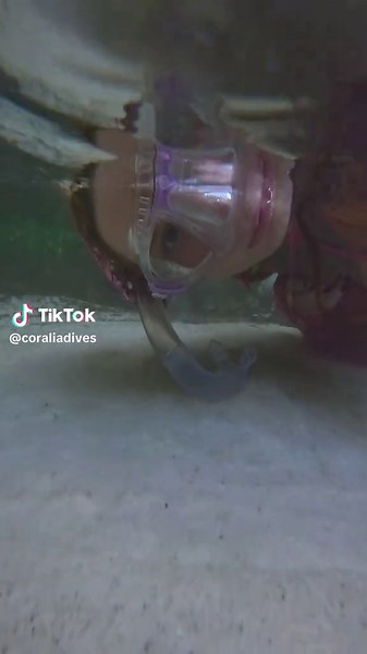 Sand boils again 🤭 #sandboil #underwater