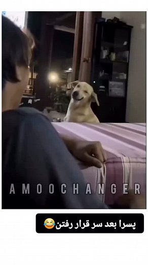 @mazani_tanz1 on Instagram‎: "کپشن با شما😂😂🍓👇🏻حمایت فراموش نشه @mazani_fan_bameshi بفرستین برا دوستان تون😂😂😂😂 #خنده_دار #خنده_بازار #خنده_پاره #خندهدارترین_کلیپ #خنده_دارترینا #طنزونه #طنز #فانکده #فالور #فالوکن_بک_میدم #خنده😂 #جک_باحال #جک #جکستان #دوبله_مازندرانی #میمون #سگ #دوست #رفیق #سور #ساری #قائمشهر #بابل #بابلسر #آمل #تهران @mazani_fan_bameshi"‎