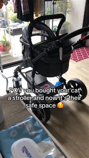 POV: you bought your cat a stroller… and now it’s officially their safe space 😸💛 Our Cat Stroller Capsule is made for cats who: ✔ love a cosy enclosed space ✔ get stressed on walks or at vet visits ✔ prefer shade airflow ✔ want to be included in EVERYTHING It clips straight into the stroller - and yes, cats LOVE it. 🎄 Shop the Stroller Bundle for Christmas → https://lalunapetcare.com.au/collections/strollers #CatStroller #CatMum #CatLifeAustralia #PetProductsAustralia #ChristmasGiftsForPets |