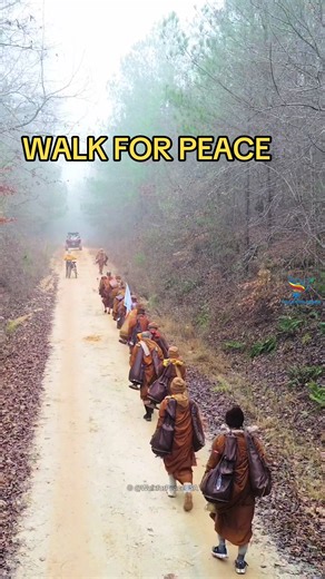 Join the Walk for Peace in America