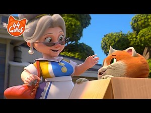 44 Gatos | Latinoamérica | ¡Hagamos un regalito sorpresa a la Abuelita Pina! 👩‍🦳️🎁