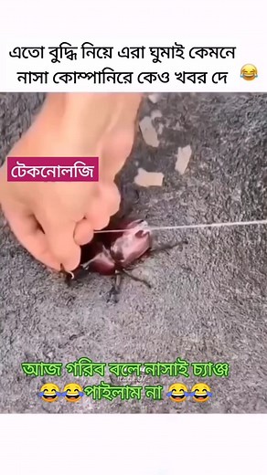 1.6M views · 10K reactions | Wait for technology  এতো বুদ্ধি নিয়ে এরা কেমনে ঘুমায় #trendingreel #Technology #fypシ #foryouシ #facebookviral #funny #memes #reelschallenge | Veterinary Masud | Facebook