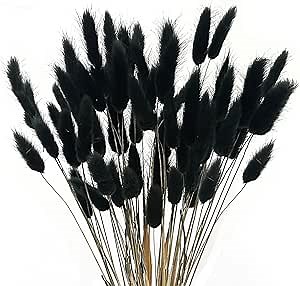 XHXSTORE 60pcs Dried Bunny Tails Flowers Black Pampas Grass Dried Flowers Bulk Natural Lagurus Ovatus Dried Floral Arrangement Dry Flowers for Boho Home Wedding DIY Craft Decoration (16")