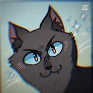Cinderpelt edit :)