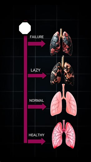 Test Your Lung Capacity and Smoking Effects