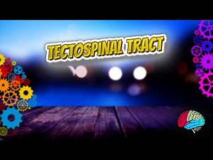 Tectospinal tract - Know It ALL 🔊✅
