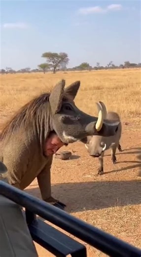 Happy Animal Moments That Will Make You Smile