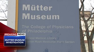 Investigation underway after apparent fetuses in jars delivered to Mutter Museum