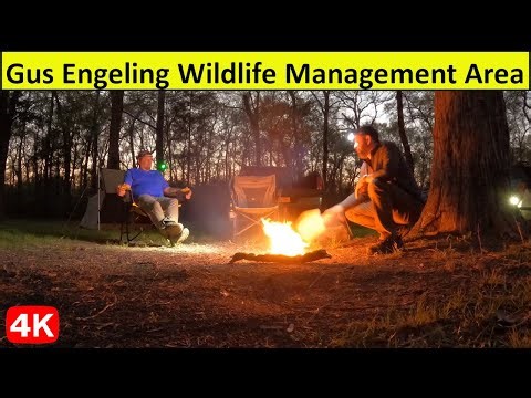 Gus Engeling Wildlife Management Area 1-night Camp