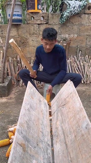 Ancient Craft: Corn Threshing in Rural China
