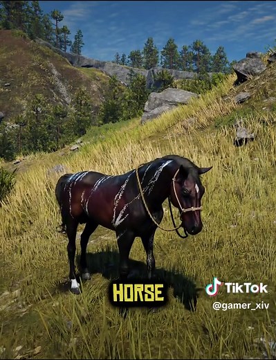 Discover Rare Friesian Horses in Red Dead Redemption 2