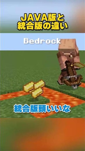 JAVA版と統合版の違い2選 #マイクラ #マインクラフト