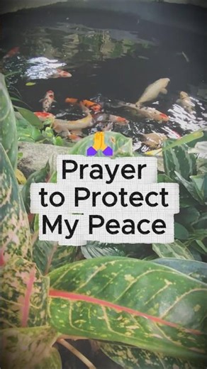 A Prayer to Protect Your Peace 🌿 | Bible Verses Daily by Vin #dailybibleverse #bible