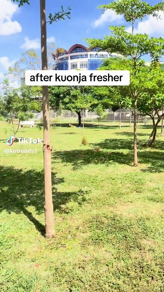 University Life Insights at Kenyatta University