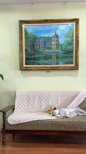 寝るきなこ #有料老人ホーム #保護犬 #シーズー