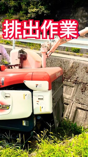 Kubota ER215クボタの2条15馬力コンバインで刈り取り🏃‍♂️#kubota #harvester #harvesters #コンバイン #combine #農業 #農家 #割倒#割稲
