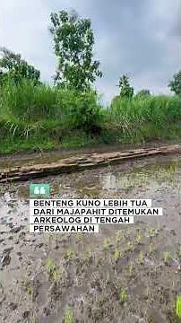 Ancient Fort Found by Archaeologists in Rice Fields