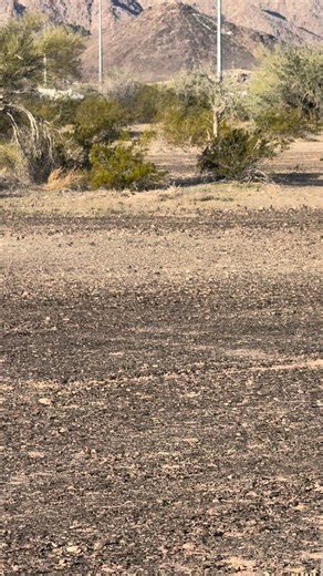 2.19.26 | Tony F Francisco