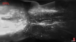 NeuroRestore 2023 - Science - Regeneration across complete spinal cord injuries reverses paralysis