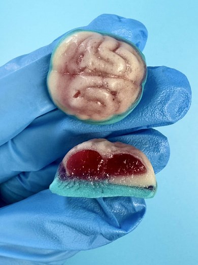 Jelly Filled Brains: Sweet Treats to Satisfy Cravings