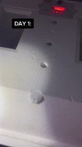 1.4M views · 7.7K reactions | I’ve done research on the subject and...