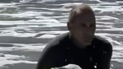 Sugar the surfing dog dies after battle with cancer