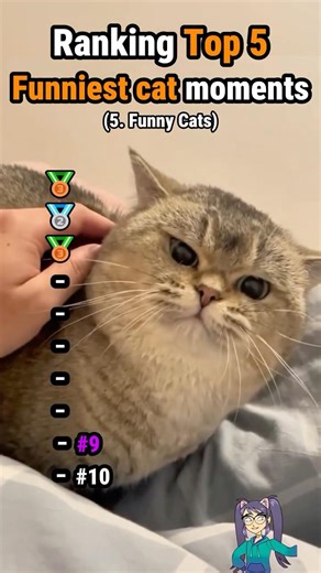 Funny Cat Videos 😹 | Impossible Not To Laugh 🤣 #shorts