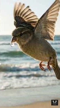 Unity Can Move Oceans!