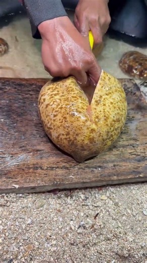 Incredible Ocean Creature Catch | Rare Sea Life Found!