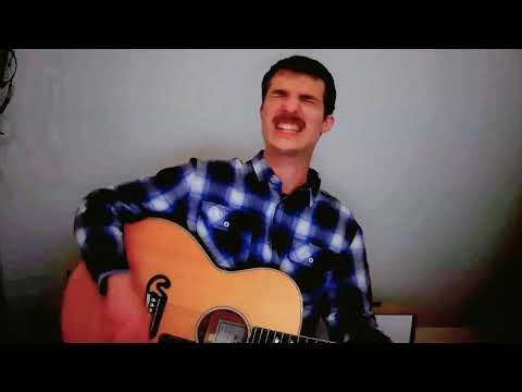Have You Ever Seen The Rain - Acoustic Cover (CCR)