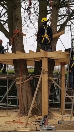 Several workers are building a wooden platform around a tree using a pulley system. #shorts #build