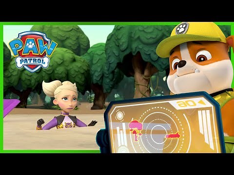 The Pups saves the jungle from the Cheetah and More! | PAW Patrol | Cartoons for Kids Compilation