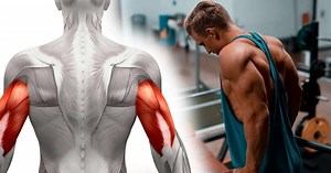 Fire Up Your Triceps: Roundup of Exercises for Massive Arms