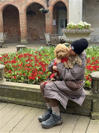 Puppies can be a lot for adult dogs so we always give them the space they need when they’ve had enough ❤️ #recalltraining #puppylove #dogownerlife #cockapoopuppy #cockapoosoftiktok